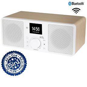 SAL Internet radio, FM , DAB, Bluetooth , 5u1 - INR 5000/WH