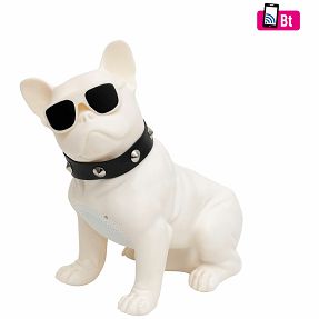 SAL Zvučnik bežični, Bluetooth, FM radio, USB, 5W - BT DOG