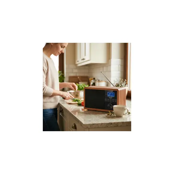 adler-ad-1184-dabfm-radio-s-bluetoothom-usb-sd-lcd-zaslon-dv-90894-ad1184.webp