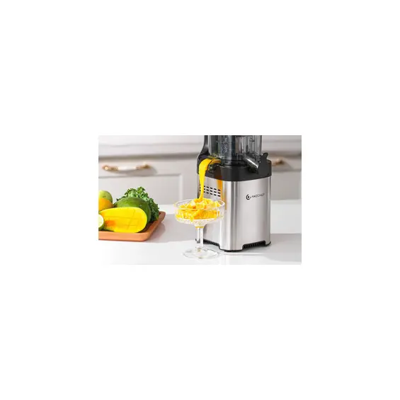 amzchef-ce-zm1902m-sv-sokovnik-3-u-1-srebrni-77667-087273.webp