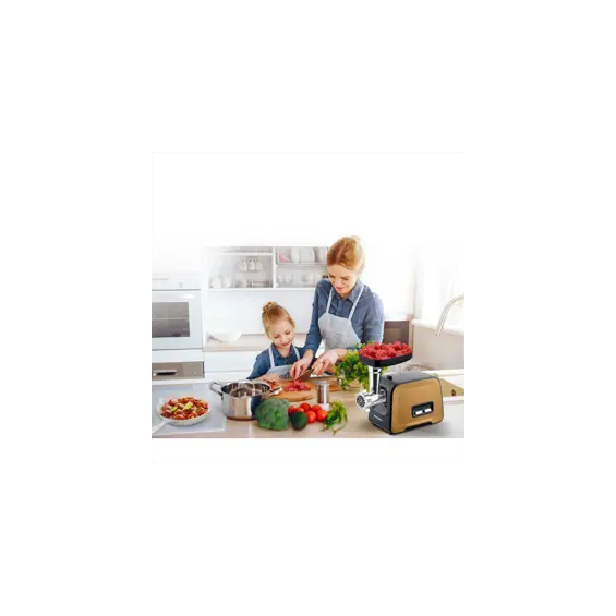 berdsen-bd-601b-elektricna-masina-za-mljevenje-mesa-1200-w-3-49610-bd-601b.webp