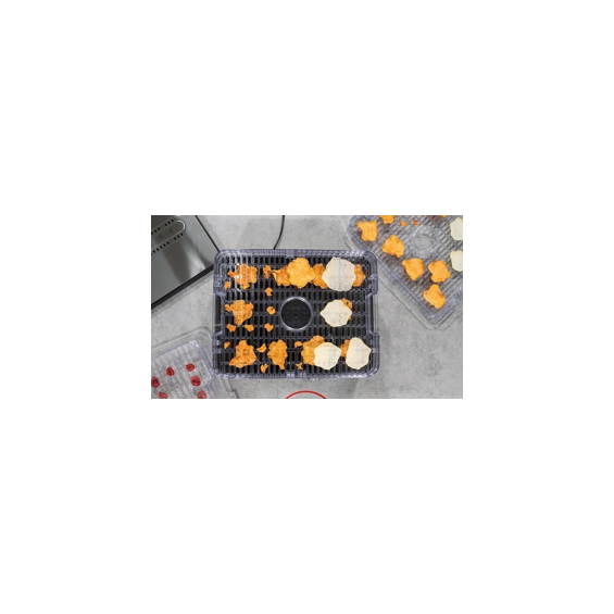caso-dh-450-dehidrator-hrane-450w-s-5-ladica-susilica-za-voc-6925-e0019466.webp