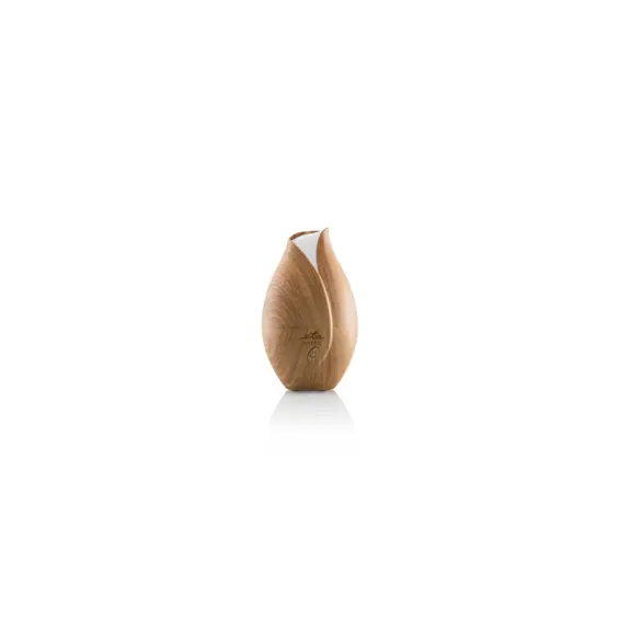 eta-aroma-difuzor-aria-eta-4634-90000-68461-107164.webp