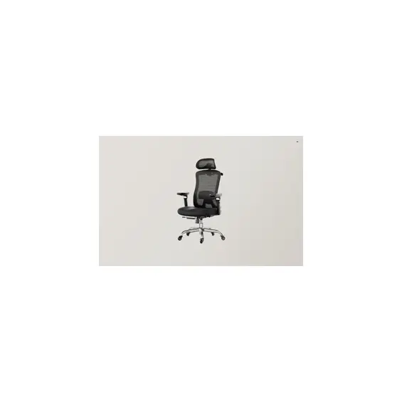 huanuo-hnofc48-ergonomska-uredska-stolica-s-6d-naslonima-za--46866-089818.webp