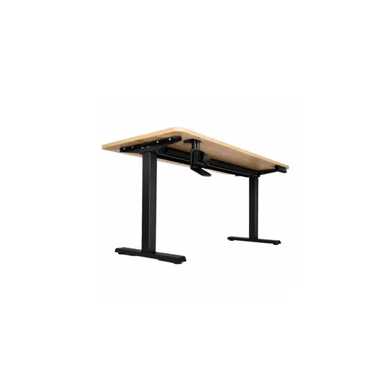 ikonka-kx26401-elektricni-podesivi-radni-stol-120-x-60-cm-de-93884-kx2640_1.webp