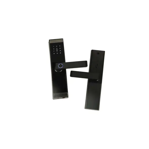 ikonka-pametna-elektronicka-brava-s-otiskom-prsta-tuya-wifib-59001-kx3853.webp
