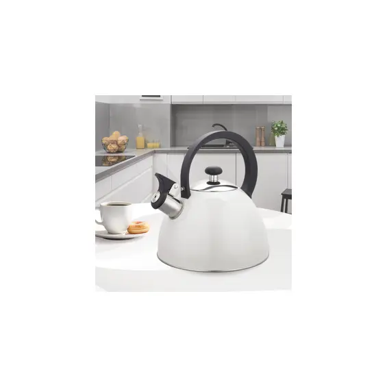 maestro-mr-1302-wg-kuhalo-za-vodu-sa-zvizdaljkom-25-l-nehrda-79251-1696738.webp