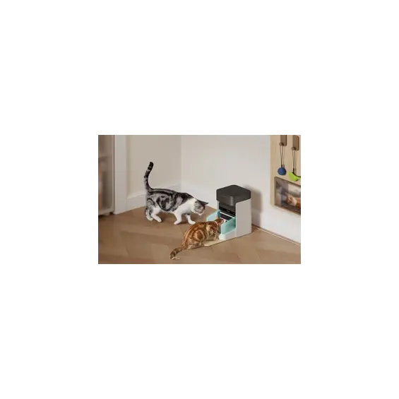 petlibro-rfid-smart-automatska-hranilica-za-pse-i-macke-3-l-98925-078375.webp
