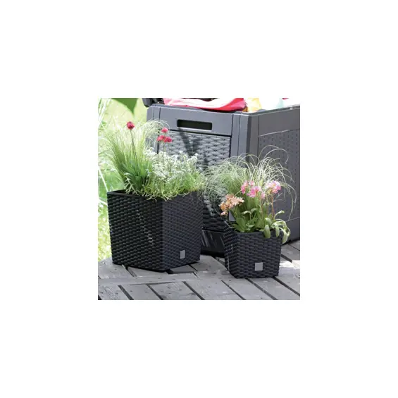 prosperplast-rato-low-drts225l-s433-tegla-za-cvijece-s-umetk-4843-drts225l-s433.webp