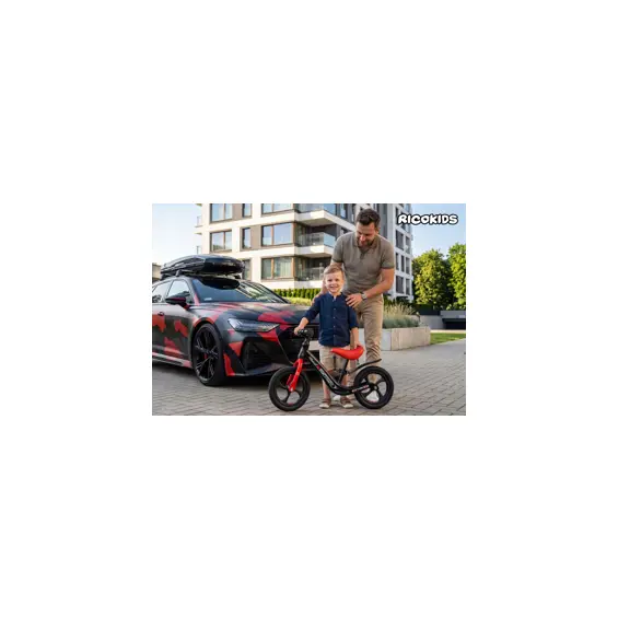 ricokids-funnu-djecji-balansni-bicikl-bez-pedala-12-magnezij-83741-760501.webp