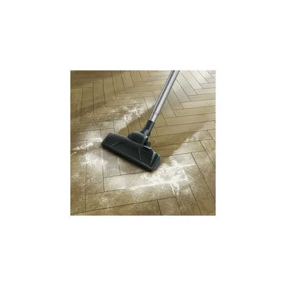 usisavac-electrolux-epf61rr-13461-05020413.webp