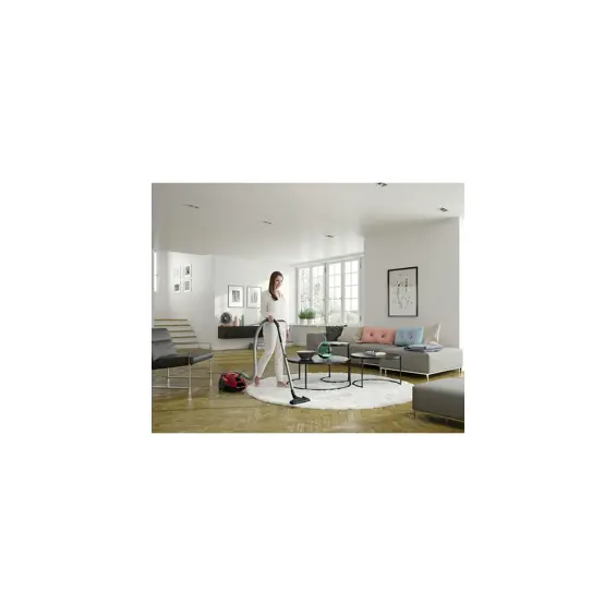 usisavac-electrolux-epf61rr-8643-05020413.webp