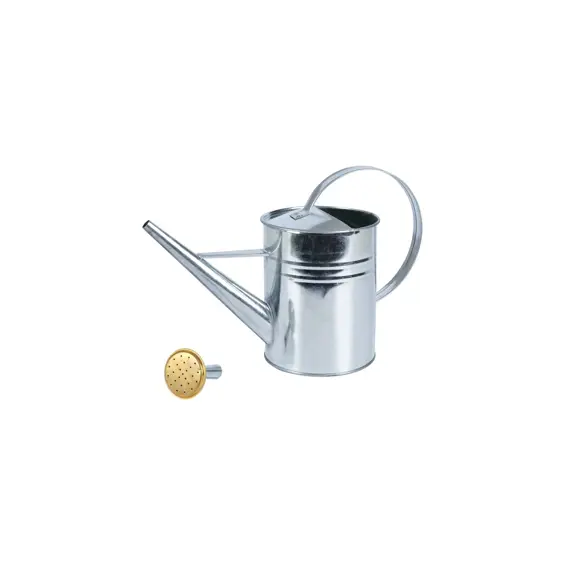 vilde-metalna-kanta-za-zalijevanje-19-l-srebrna-82440-339419.webp