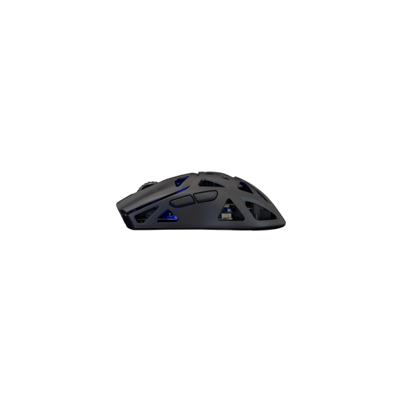 white-shark-mis-wgm-5019-dagonet-429-7351.webp