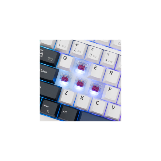 white-shark-pl-tipkovnica-gk-007251-excalibur-bijela-us-86424-excalibur-w.webp