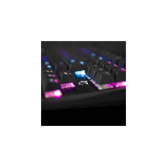 white-shark-tipkovnica-gk-1925-spartan-hr-68062-39672.webp
