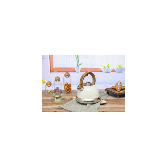 zilan-kuhalo-sa-vodu-sa-zvizdaljkom-35-lit-retro-zln1290-82351-61070.webp