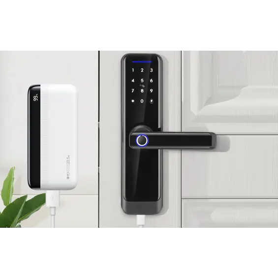 Avatto ZSDL-A270-B-ALI-6072 ZigBee Pametna Digitalna Brava – Crna