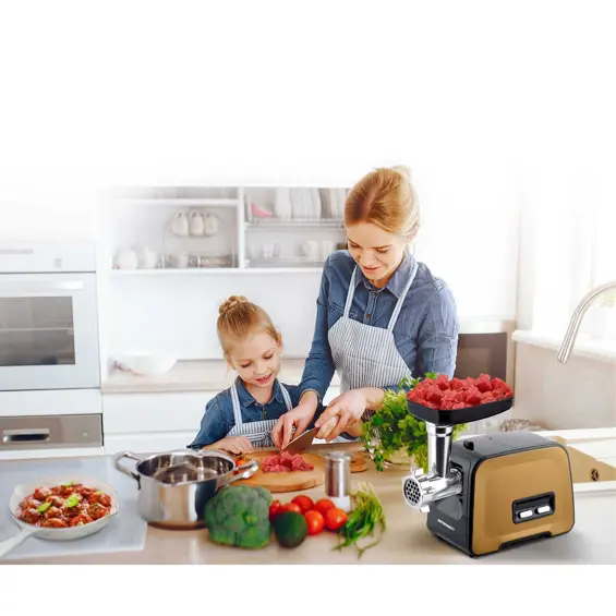 Berdsen BD-601B električna mašina za mljevenje mesa 1200 W – 3 rešetke, nastavci za povrće, Reverse