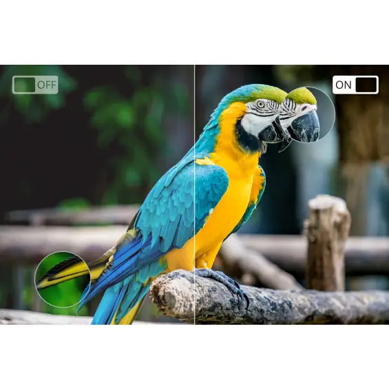 KRÜGER&MATZ KM0232-S6 – Smart LED televizor 32" (81 cm), HD Ready, Wi-Fi, DVB-T2 HEVC, Netflix, YouTube, crni