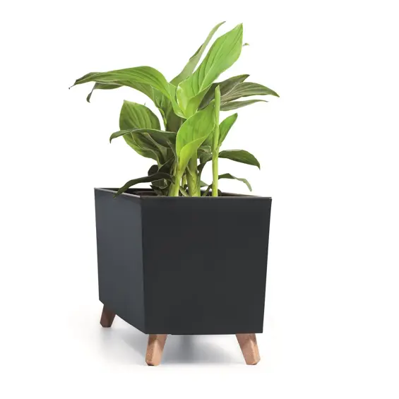 Prosperplast Urbi Case DUC800N žardinjera s umetkom i nogicama 77 cm – antracit
