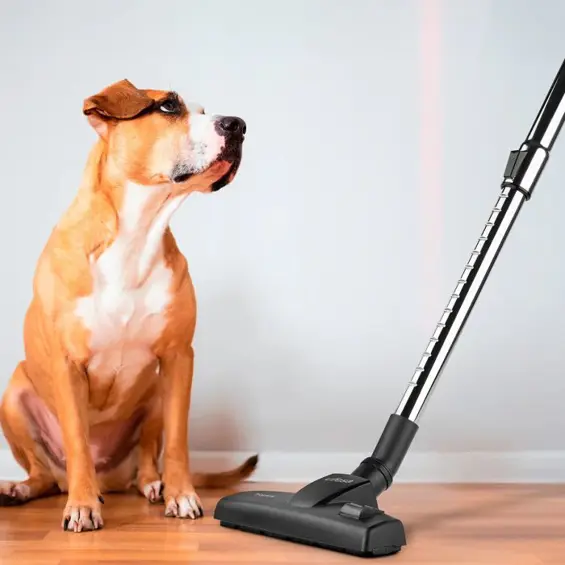 Ufesa Tropical 600W – Žični uspravni usisavač